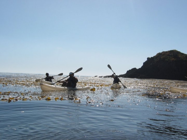  Scopri Baja in kayak 